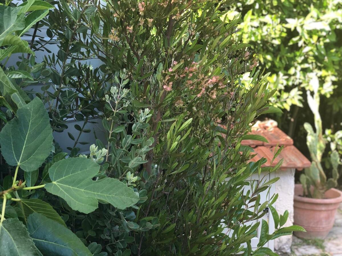 Le Tre Palme Villa Fontane Bianche Luaran gambar