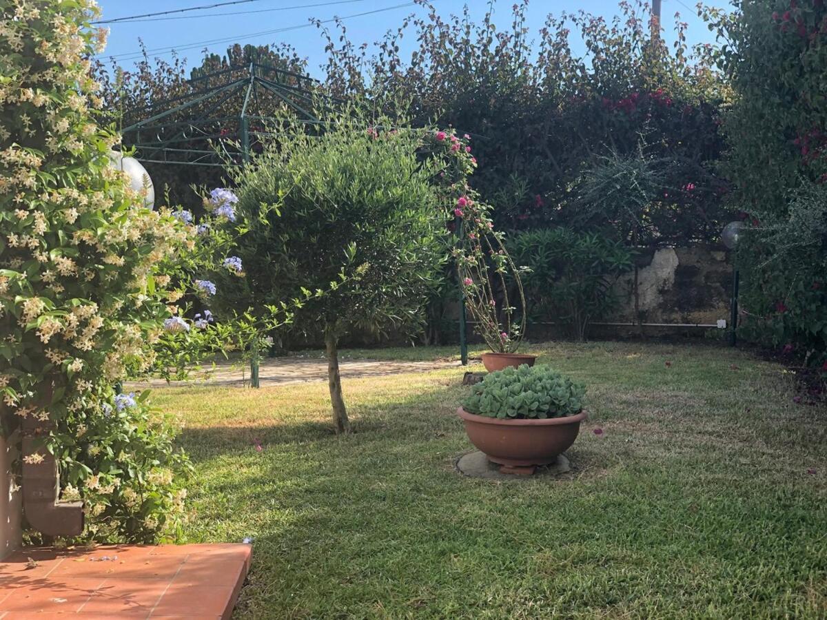 Le Tre Palme Villa Fontane Bianche Luaran gambar